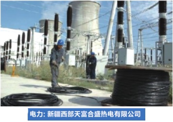 新疆西部天富合盛热电有限.jpg